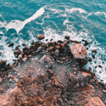 Google News Showcase launches in Australia